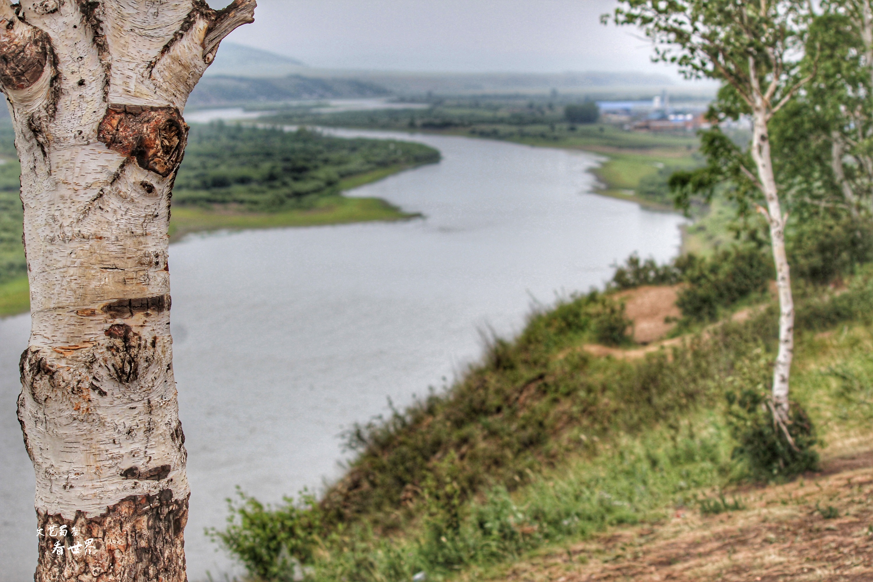 额尔古纳河离呼伦贝尔大草原远吗 (额尔古纳草原深度游)