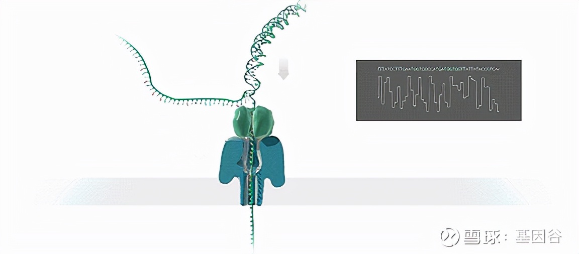 全场硬菜！分子诊断技术全解析