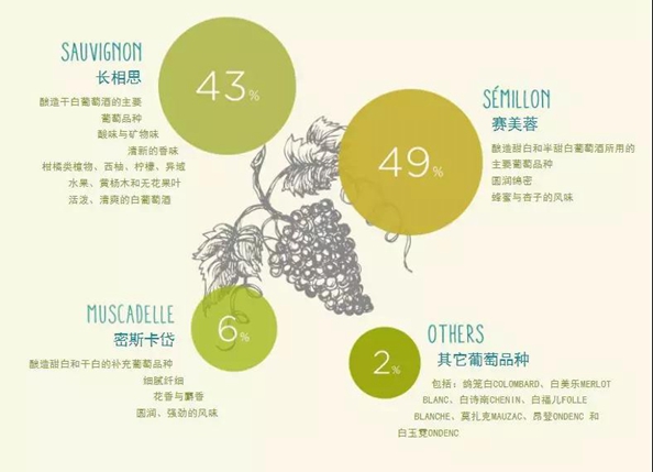 波尔多著名品种,2019波尔多增加的品种