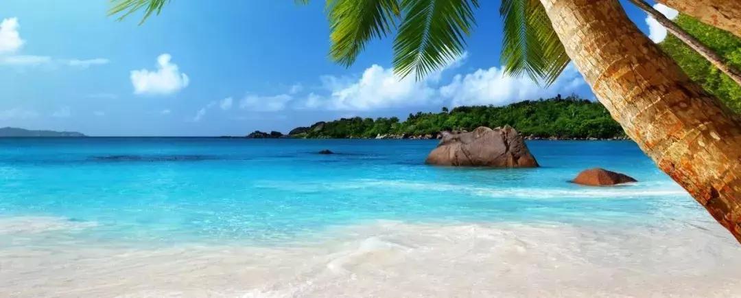 椰树椰汁是个怎样的存在呢,椰树牌椰汁正确倒法