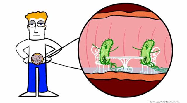 念珠菌的预防方法,念珠菌怎样预防