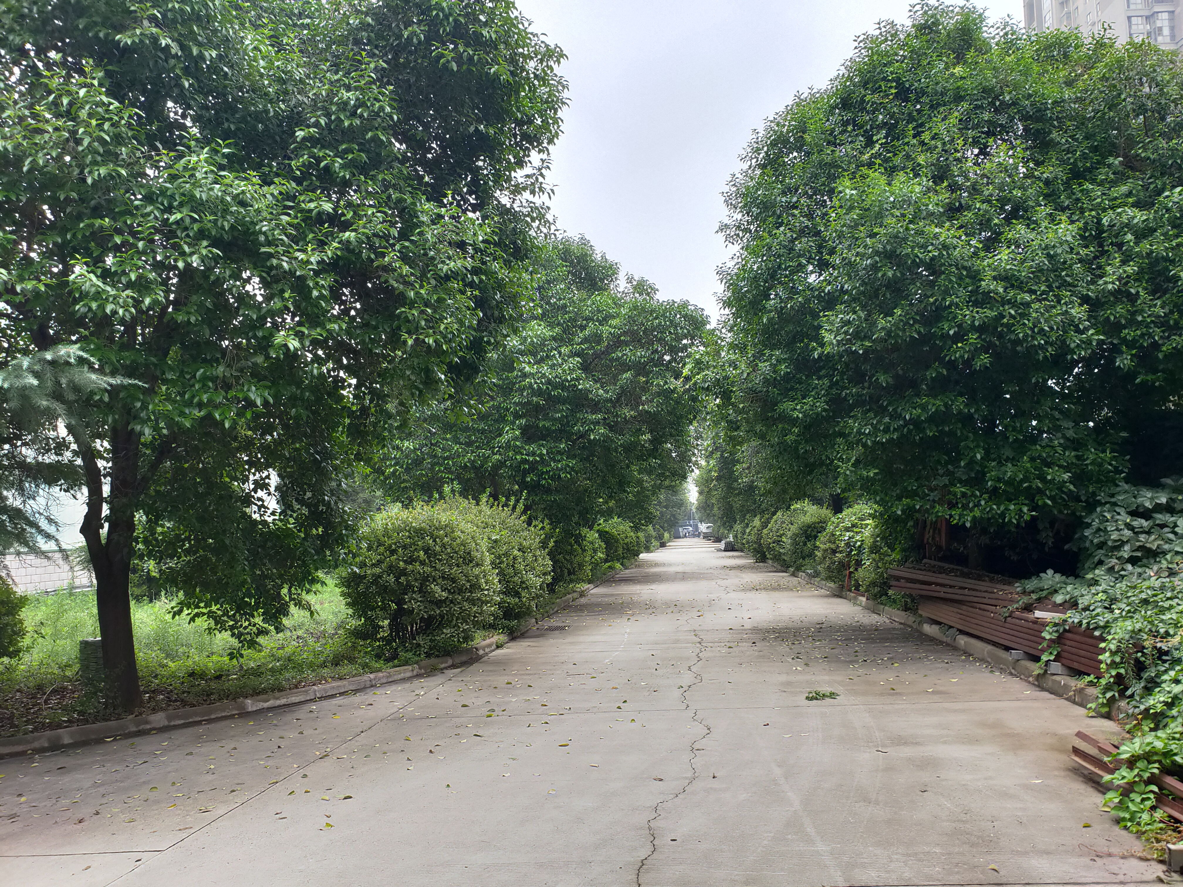 高陵9宗土地拍卖,高陵3宗工业用地挂牌出让