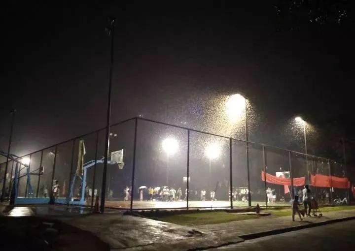 南方暴雨过后的水蚁有多可怕,暴雨后大水蚁怎么处理