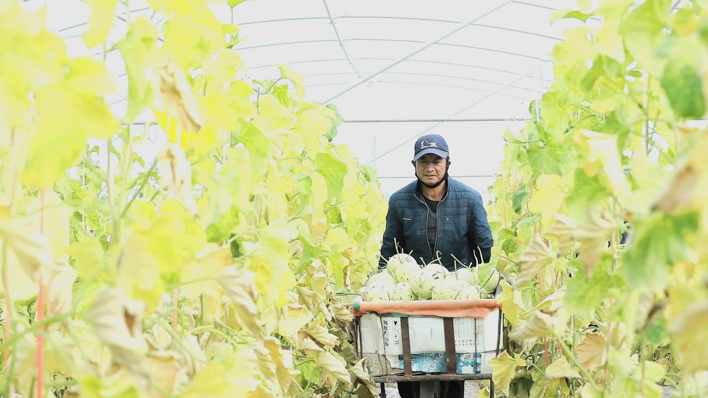 全省脱贫攻坚总结表彰大会在瓜州县引起热烈反响