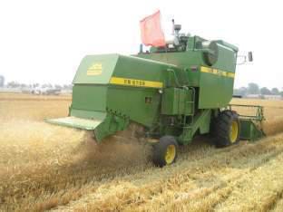 河南适合种植高产玉米,玉米高产高效种植技术