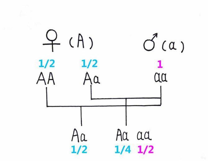 父母脱发孩子也是会掉头发吗,父亲脱发是否会遗传女儿