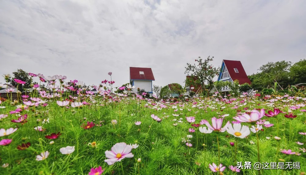 无锡网红打卡地南泉老街,无锡风景环境绝佳的网红打卡点