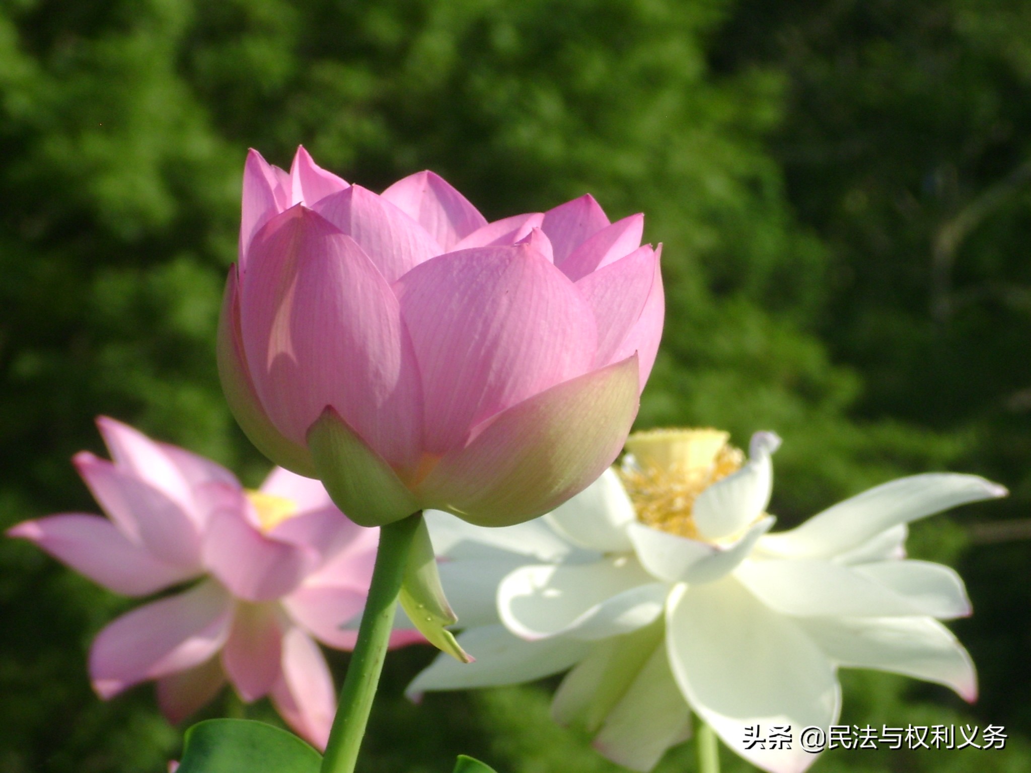 受让方拒不付清房子的余款，出让方有权解除合同吗？