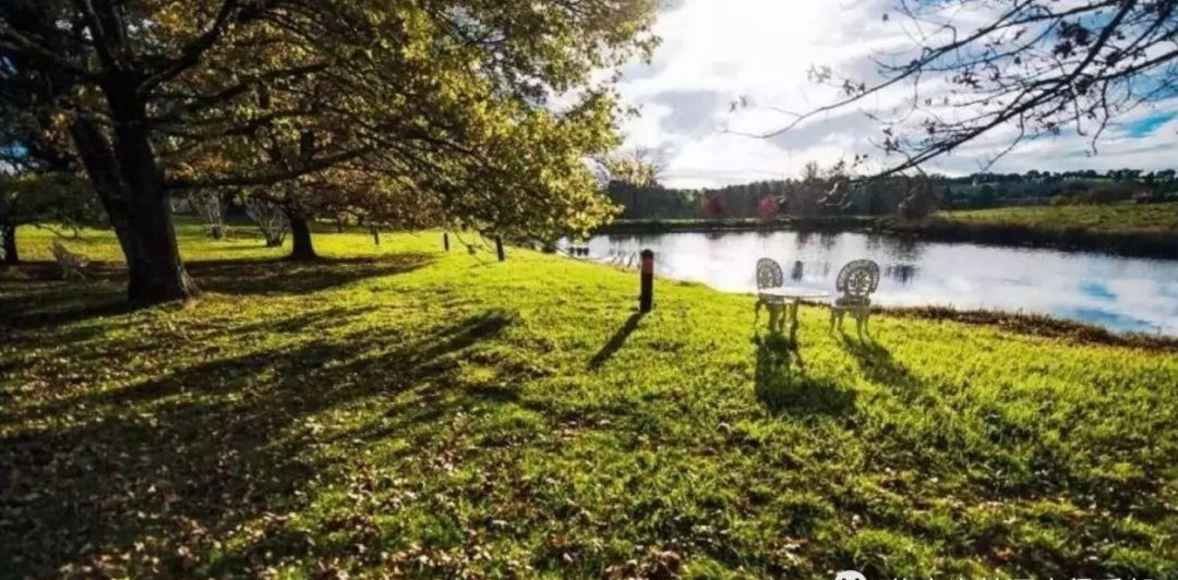 澳大利亚红酒小知识大全,一文了解意大利红酒