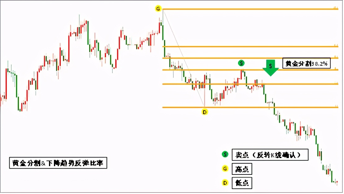 黄金分割线,黄金分割线的实战操作技巧