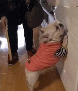 口红别人使用过的会携带细菌吗,专柜口红试用装会传染疾病吗