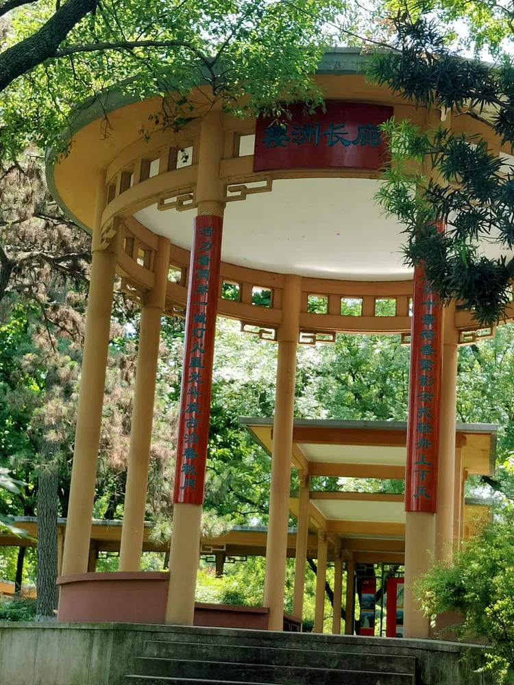 曾作为禁地，与外界隔绝二百六十多年的“玄武湖”，今日锣鼓喧天