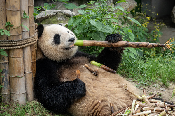 江浙沪自驾游亲子乐园推荐,江浙国内小众海岛亲子游
