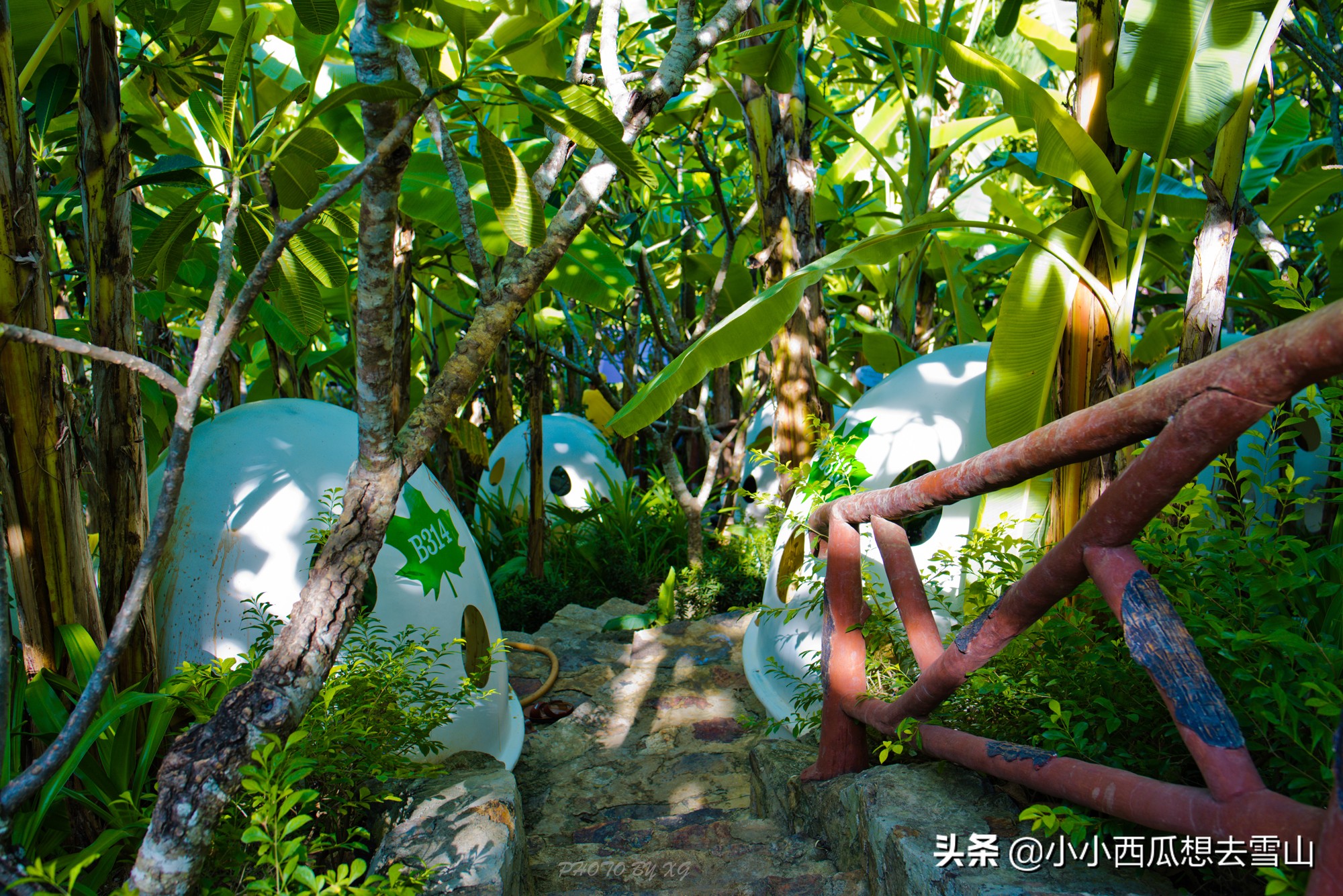 芽庄之旅明天结束回国心情 (中国人去越南芽庄旅游)