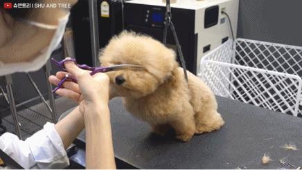 tony老师高阶换头术,90后tony老师换头术