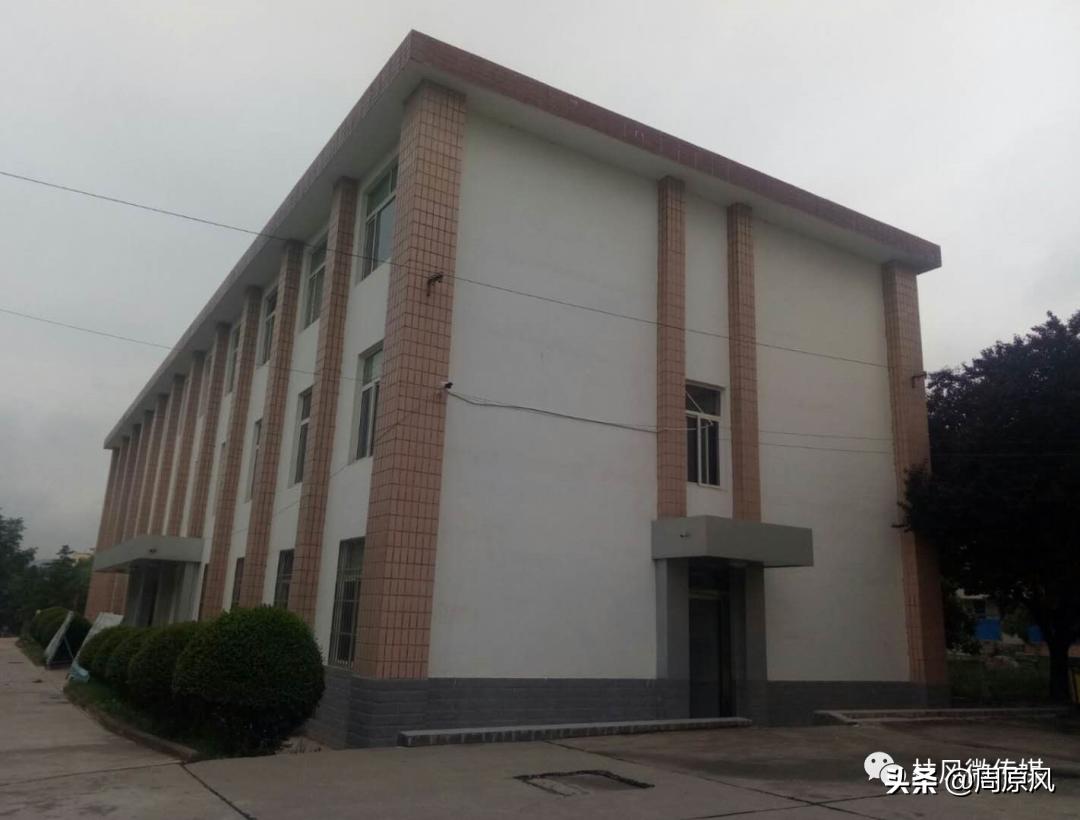 长寿梦,长寿梦完整版