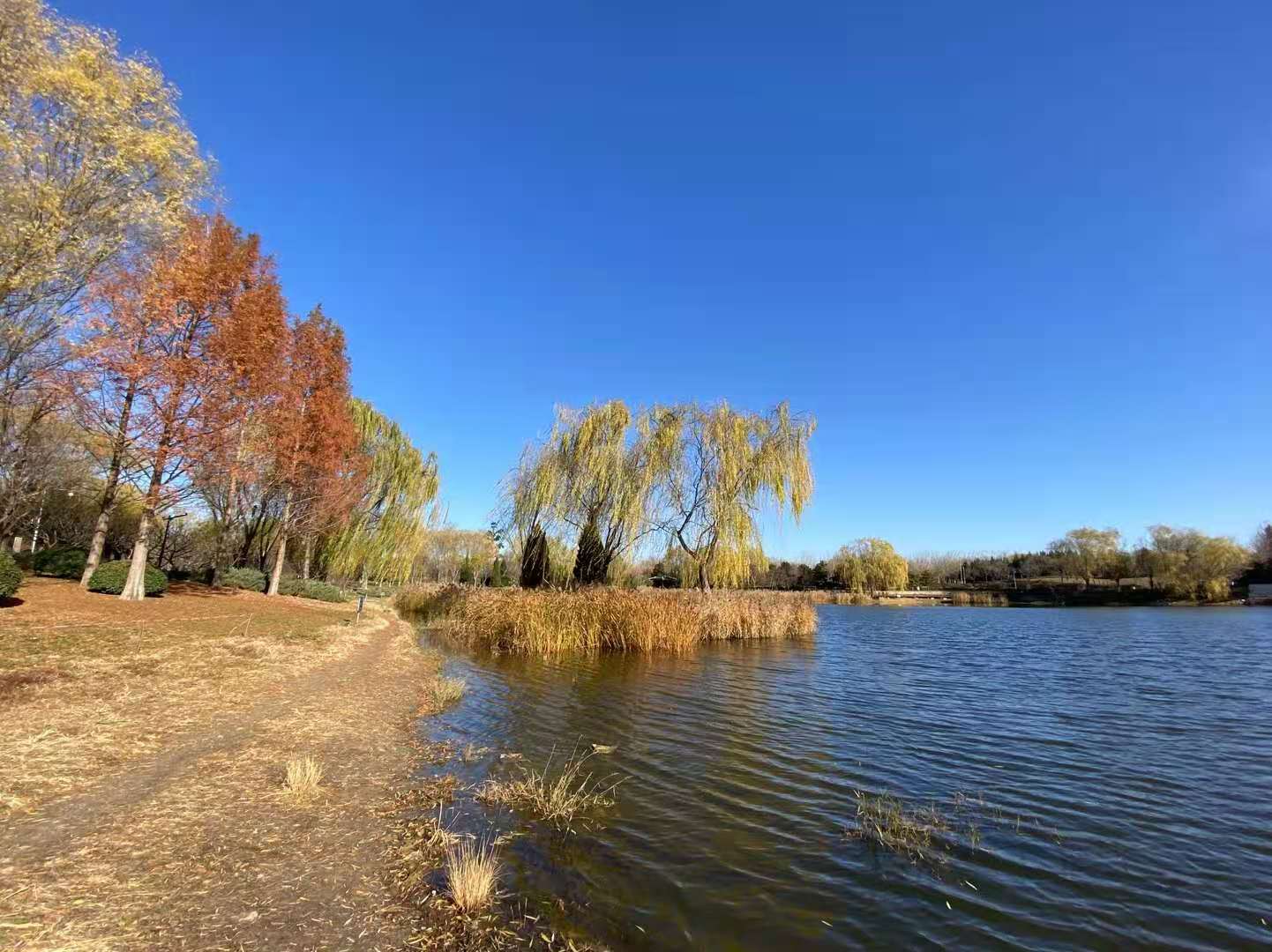 认识自己而不是认命,认识自己方能致远