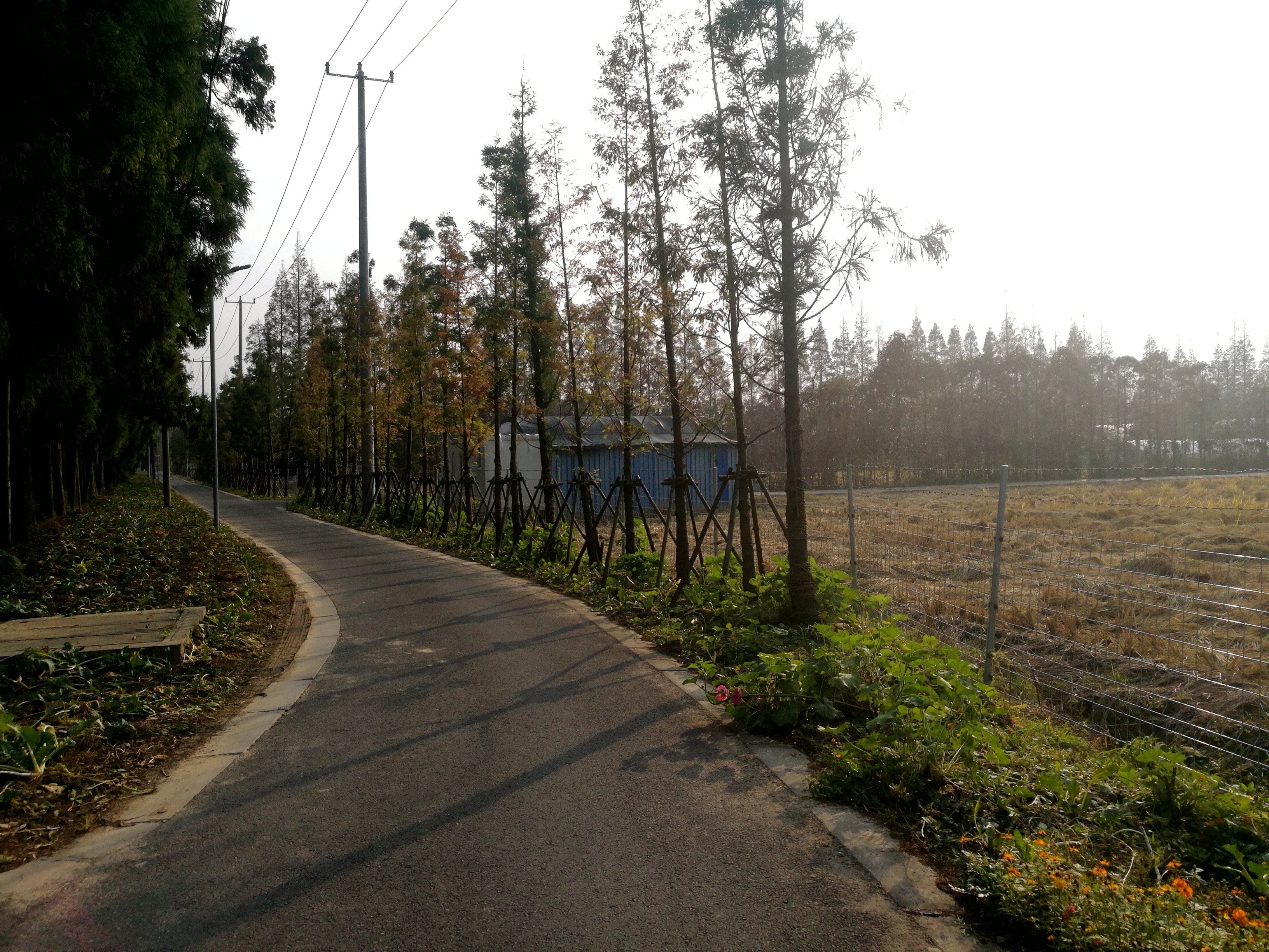 上海长兴岛郊野公园可以看见海吗,长兴岛郊野公园离上海站有几公里