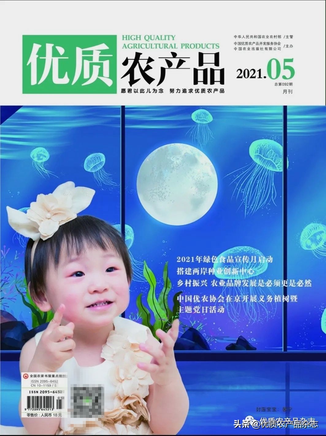 大姜种植技术大全和利润,无公害姜种植技术