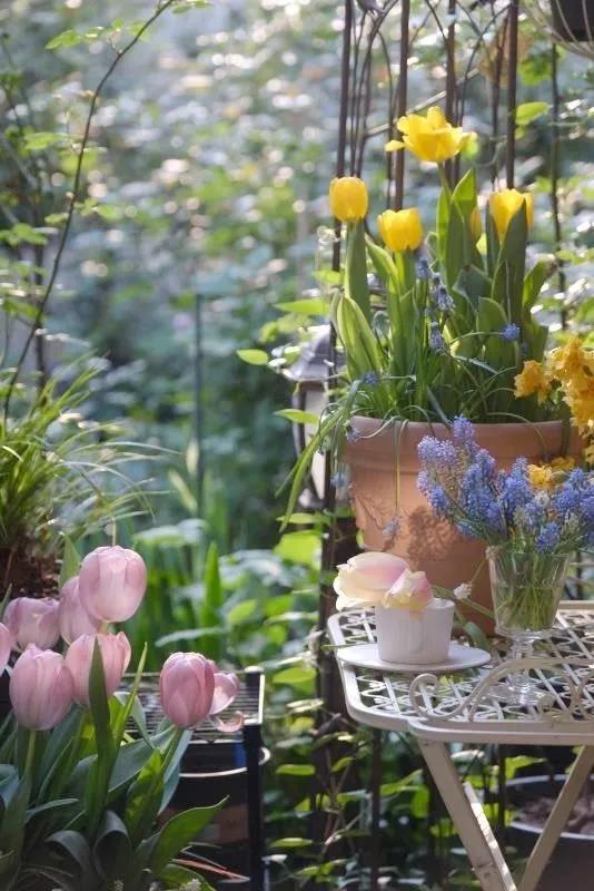 三年前买了套绿地110平三房130万,三年前耗资百万打造小院出售