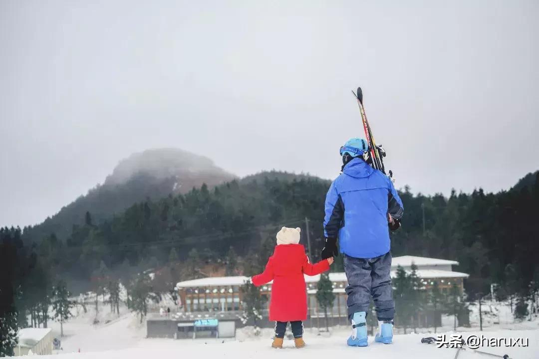 南方也能下雪吗,南方也能见到雪
