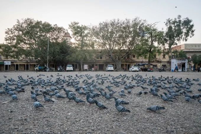 印度这座老城，房子都是粉色，去亚洲最豪华电影院只要几十元