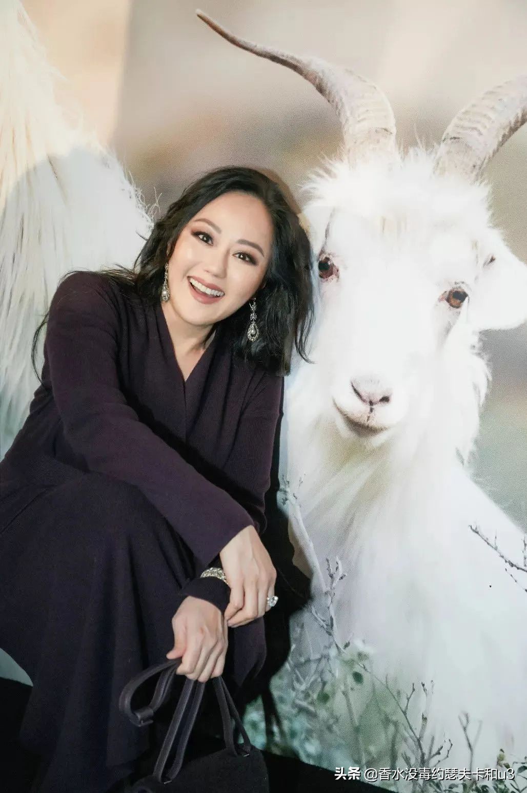 三十而已顾佳同款香水,三十而已顾佳家的香水