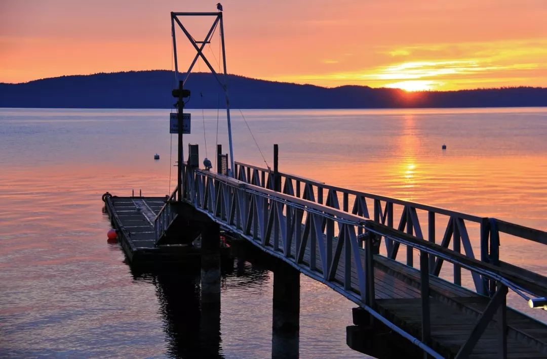 带你去看海最美的海岛,等一个人陪我到海岛