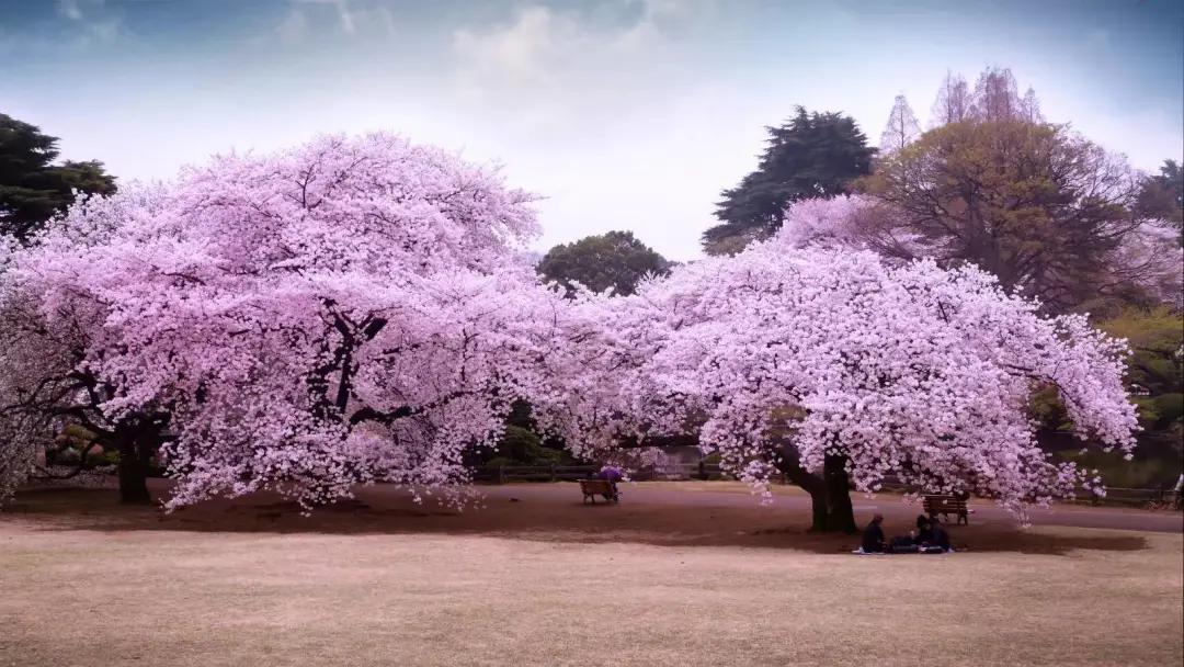 最新最全的成语大全,成语大全汇总值得收藏