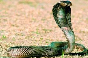 风水先生看风水的罗盘,风水大师讲解罗盘的作用