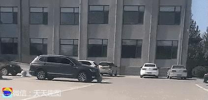 搞笑动图gif微信表情包2019,搞笑动图笑得肚子痛