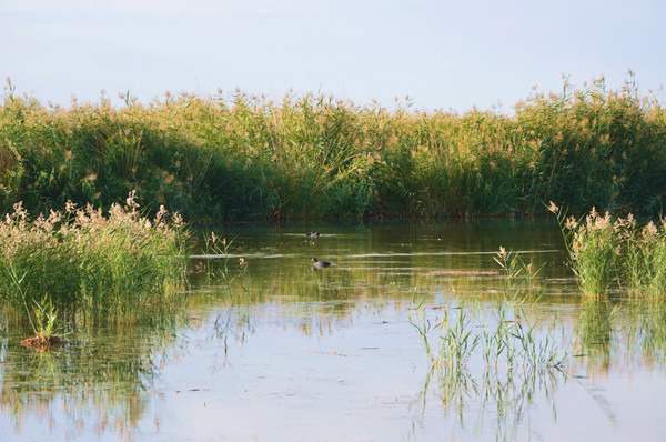 青甘大环线几月份去比较好,甘青大环线旅游跟团游旅行社报价