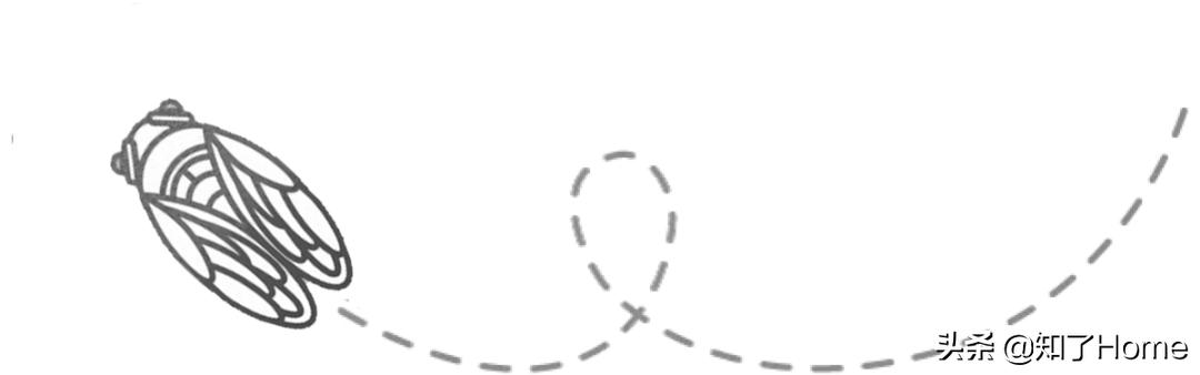 DGS春季大秀邀请函在手做生活的VVIP