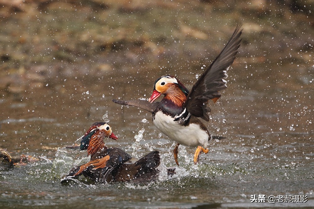 冲冠一怒为红颜讲的是谁,冲冠一怒为红颜的故事