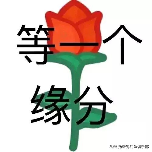 七年前初次相见,七年前的第一次相遇