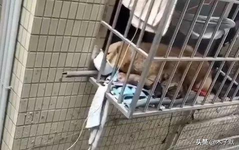 隔离的日子如同宅家,被隔离的日子真难熬吗