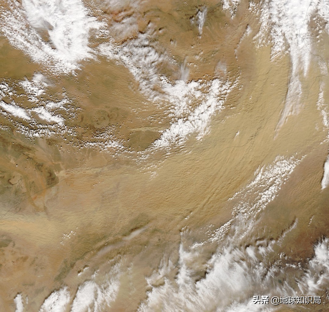 蒙古国农业潜力,蒙古国为什么适合发展畜牧业