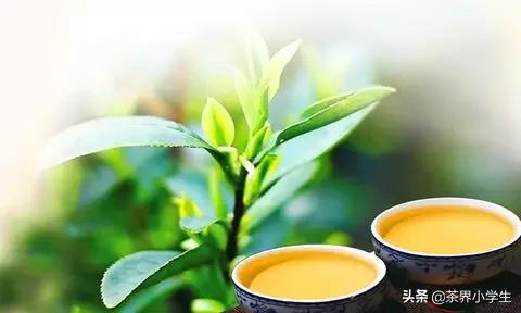 过去6个月，淘系电商平台什么茶卖的好？疫情影响大吗？