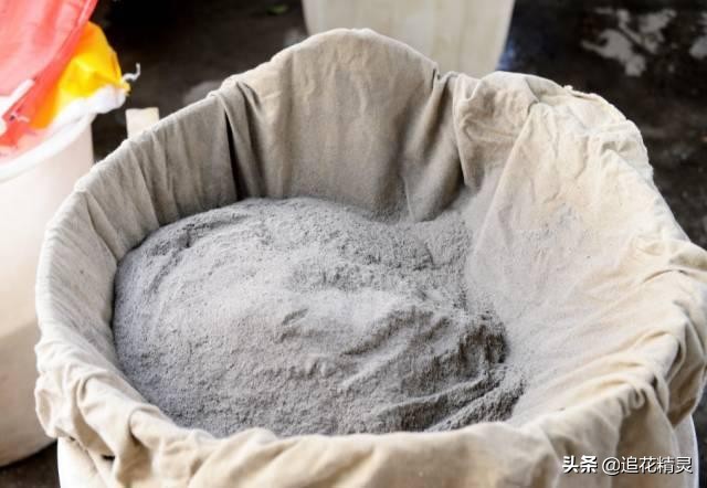 草木灰农业最显著的效果,农业知识讲解草木灰农业妙用