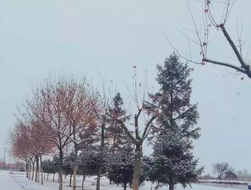 2019西北民族大学预科,高考志愿西北民族大学