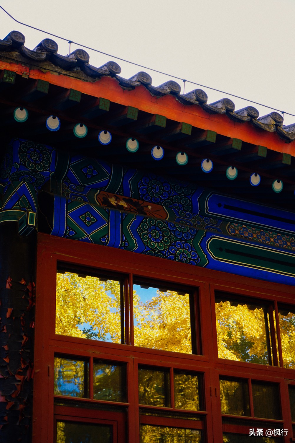 北京18个看银杏的好地方在哪,北京八大处看银杏攻略