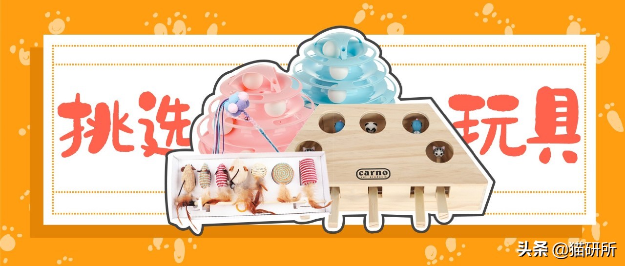 哪些猫咪玩具对小猫有害 (对猫咪有益的玩具)