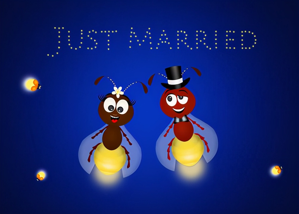 萤火虫的特殊发光物质是什么,萤火虫的闪光是怎么发出来的