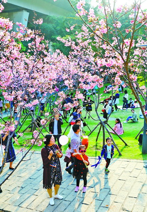 厦门文旅也开始发力了,厦门文旅产品最新消息