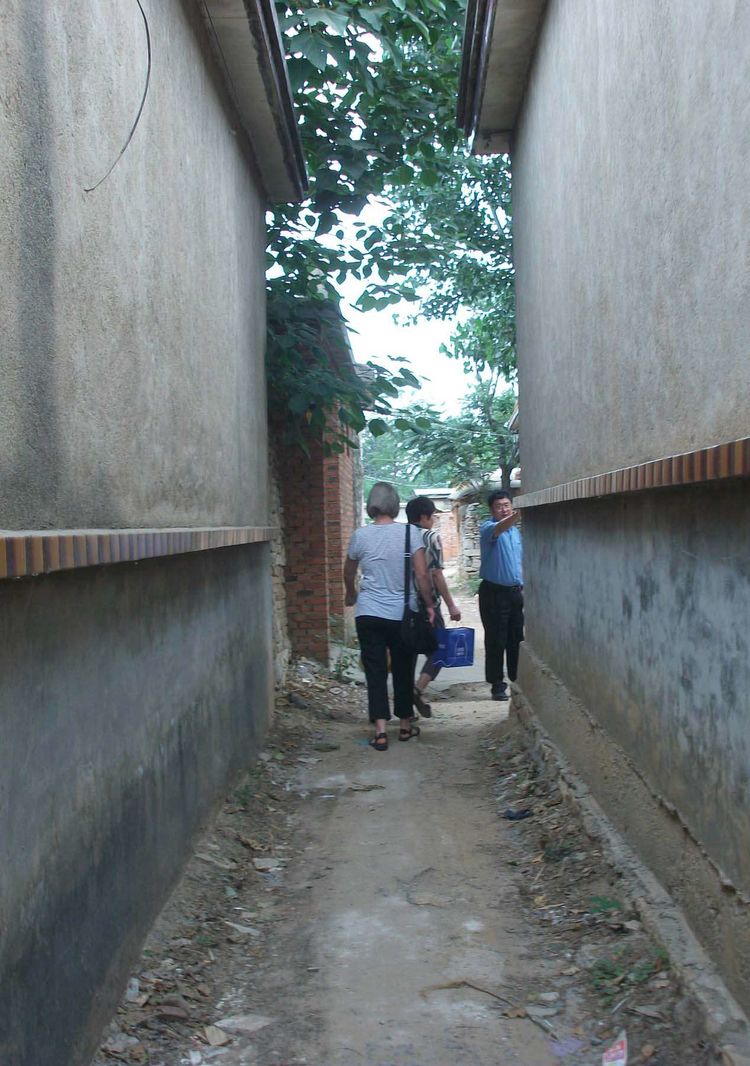 外国游客夸赞中国,外国友人赞美中国