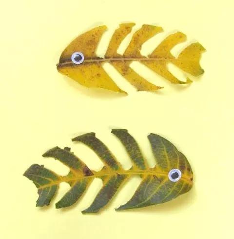 有多少种各种各样的小动物呢,用落叶做可爱的小动物