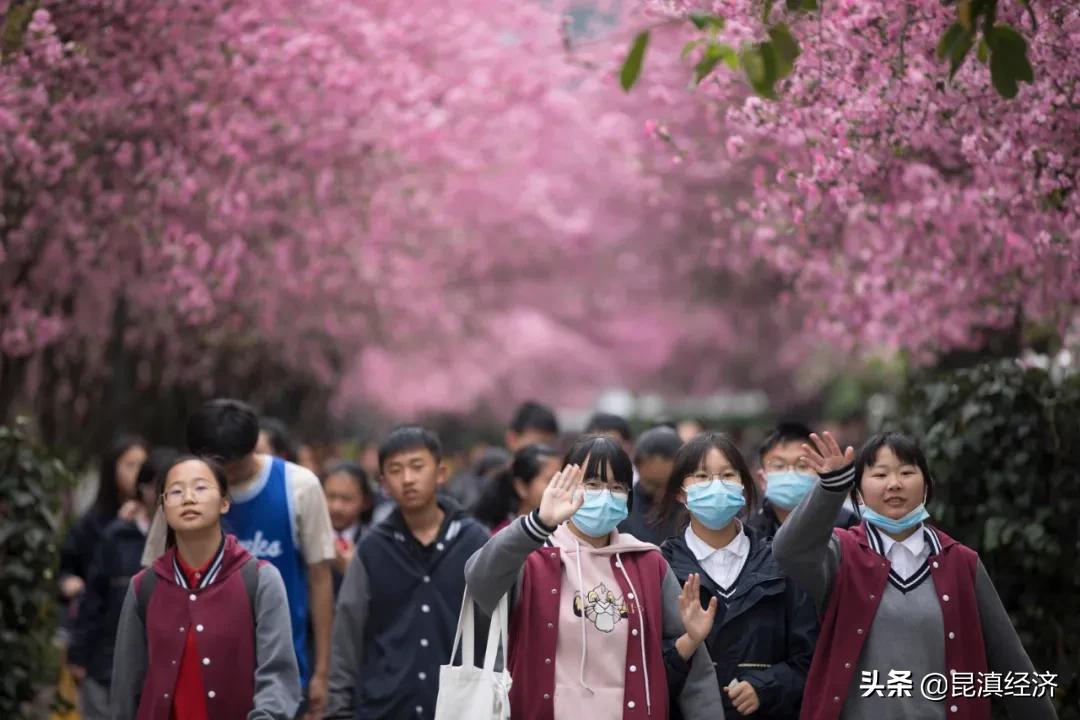 昆明2023年gdp增速,2022年一季度昆明各区县人口及gdp