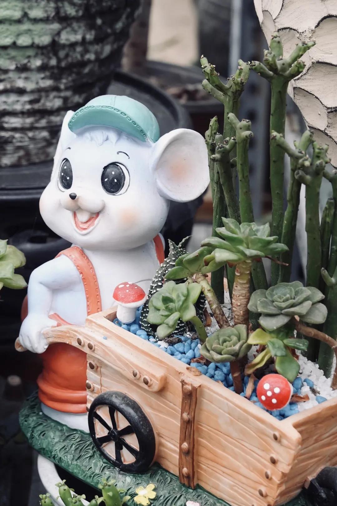 乌鲁木齐附近最便宜的花市,乌鲁木齐市花街在哪里