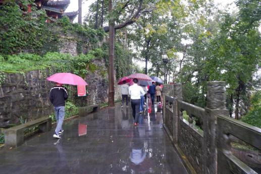 常回家看看！2020年，上海湘菜餐饮人再出发的“192小时”