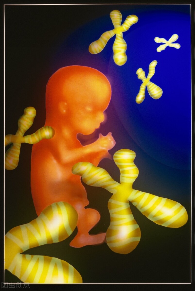 胚胎移植50多天停止发育,怀孕8周胚胎停止发育原因